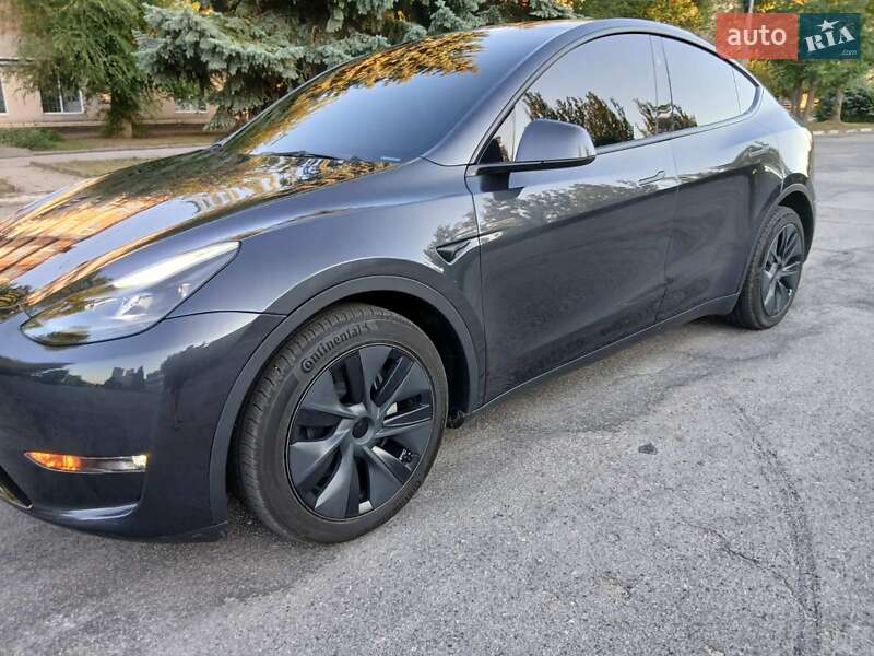 Внедорожник / Кроссовер Tesla Model Y 2024 в Никополе