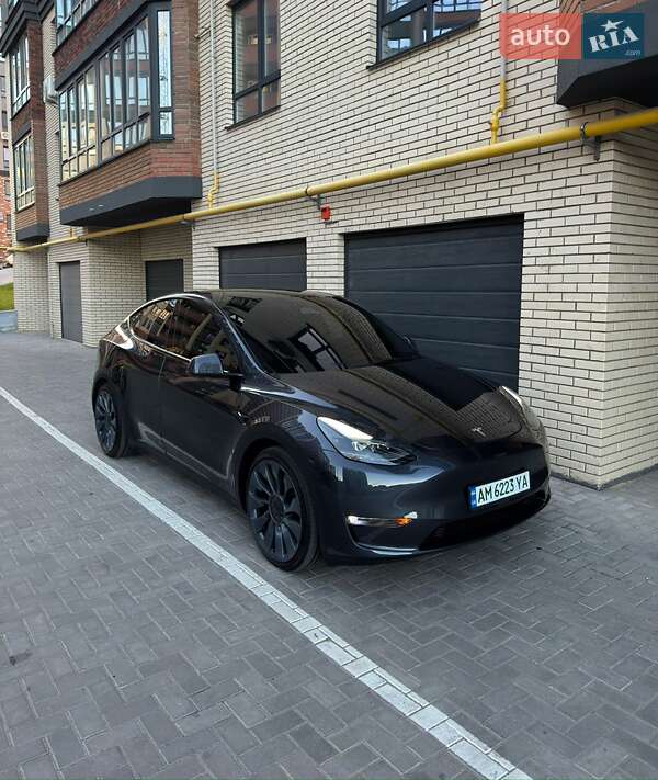 Внедорожник / Кроссовер Tesla Model Y 2024 в Житомире