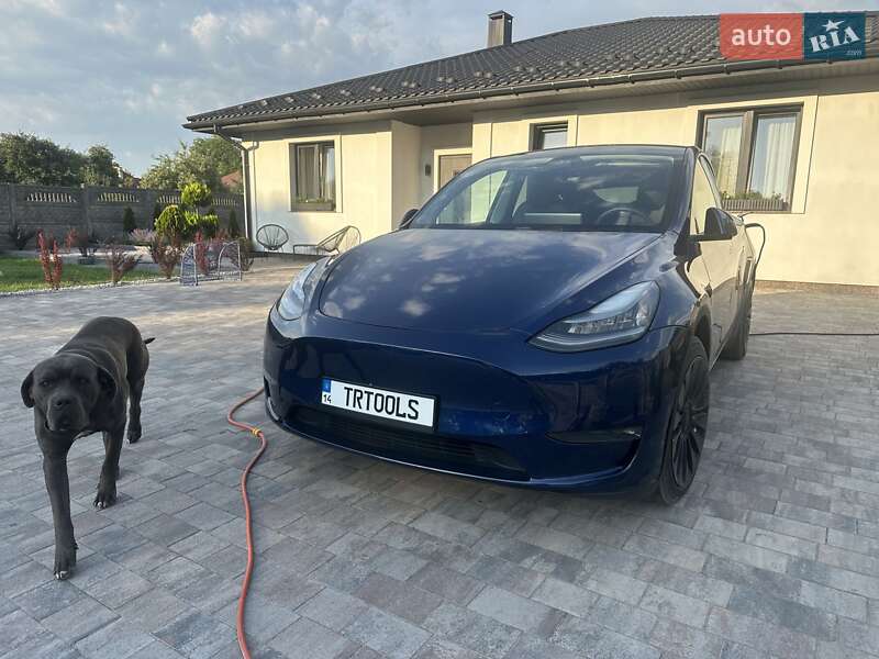 Позашляховик / Кросовер Tesla Model Y 2020 в Львові