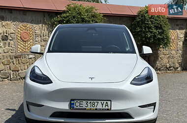 Внедорожник / Кроссовер Tesla Model Y 2023 в Черновцах