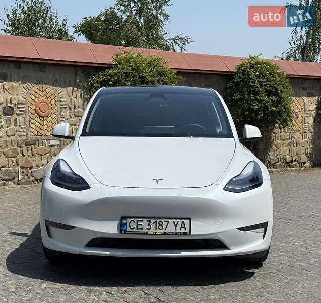 Внедорожник / Кроссовер Tesla Model Y 2023 в 