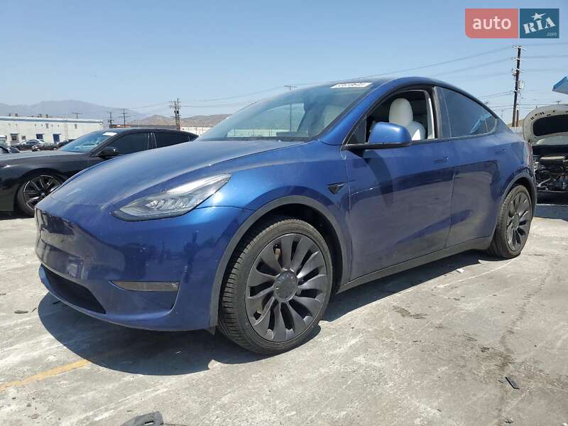 Внедорожник / Кроссовер Tesla Model Y 2021 в Черновцах