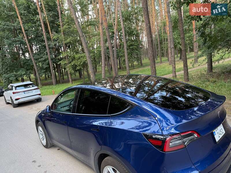 Внедорожник / Кроссовер Tesla Model Y 2021 в Киеве