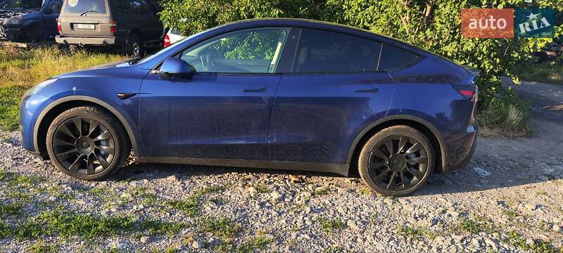 Позашляховик / Кросовер Tesla Model Y 2021 в Черкасах