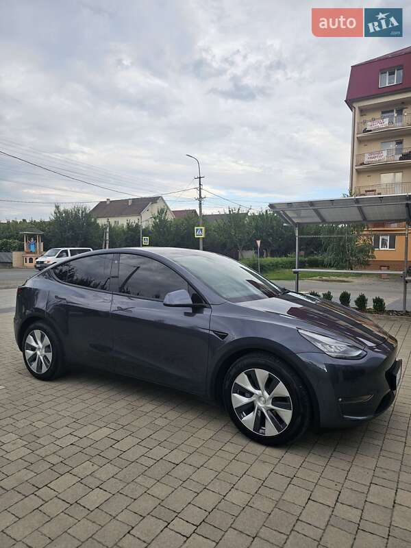 Позашляховик / Кросовер Tesla Model Y 2021 в Мукачевому