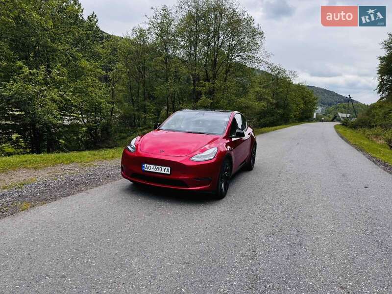 Позашляховик / Кросовер Tesla Model Y 2023 в Міжгір'ї