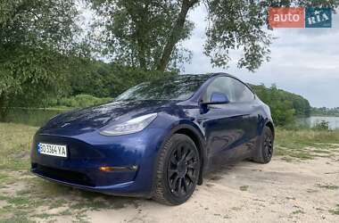 Позашляховик / Кросовер Tesla Model Y 2021 в Тернополі