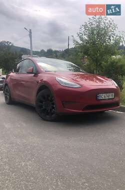 Позашляховик / Кросовер Tesla Model Y 2021 в Львові