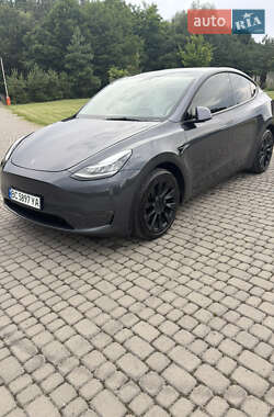 Внедорожник / Кроссовер Tesla Model Y 2021 в Львове