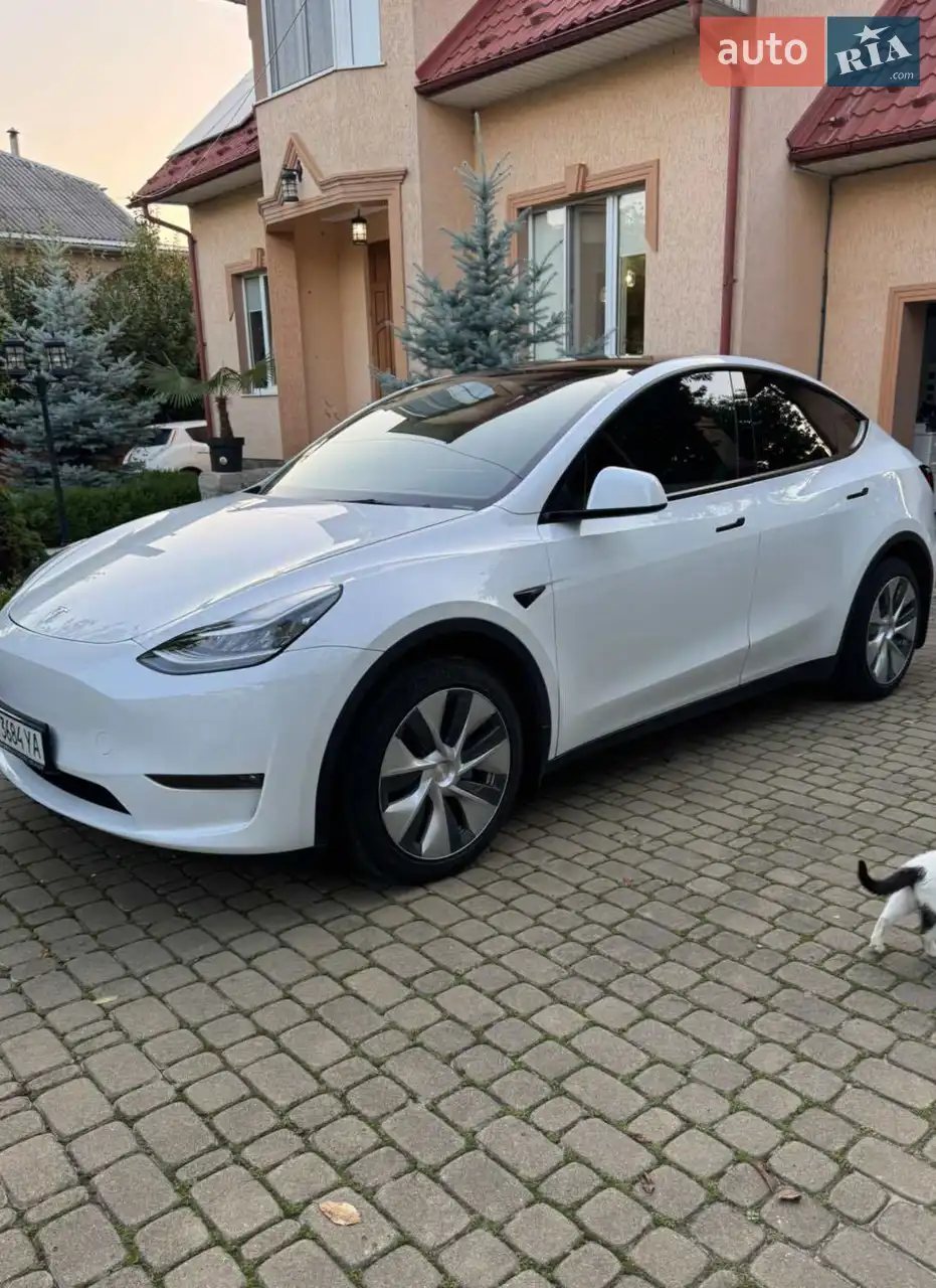 2021 Tesla Model Y - мініатюра 14
