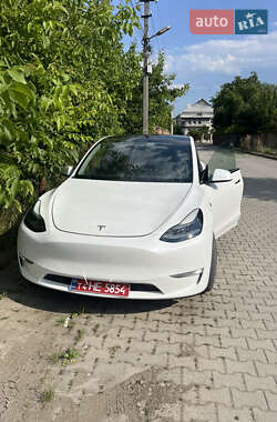 Внедорожник / Кроссовер Tesla Model Y 2020 в Черновцах