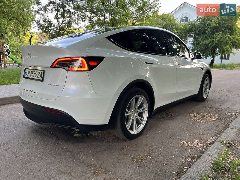 Внедорожник / Кроссовер Tesla Model Y 2023 в Житомире