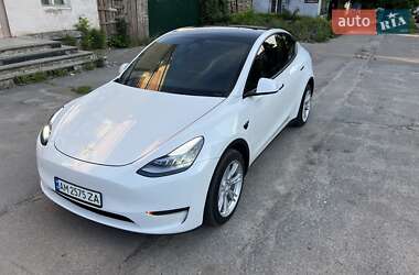 Внедорожник / Кроссовер Tesla Model Y 2023 в Житомире