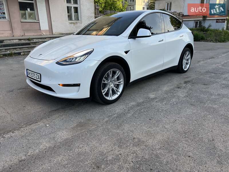 Внедорожник / Кроссовер Tesla Model Y 2023 в Житомире