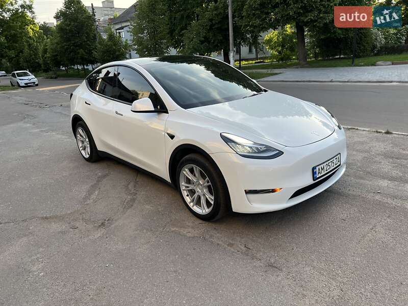 Внедорожник / Кроссовер Tesla Model Y 2023 в Житомире