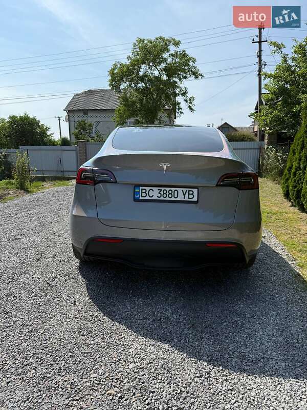 Позашляховик / Кросовер Tesla Model Y 2023 в Львові