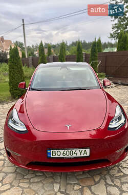 Внедорожник / Кроссовер Tesla Model Y 2023 в Киеве