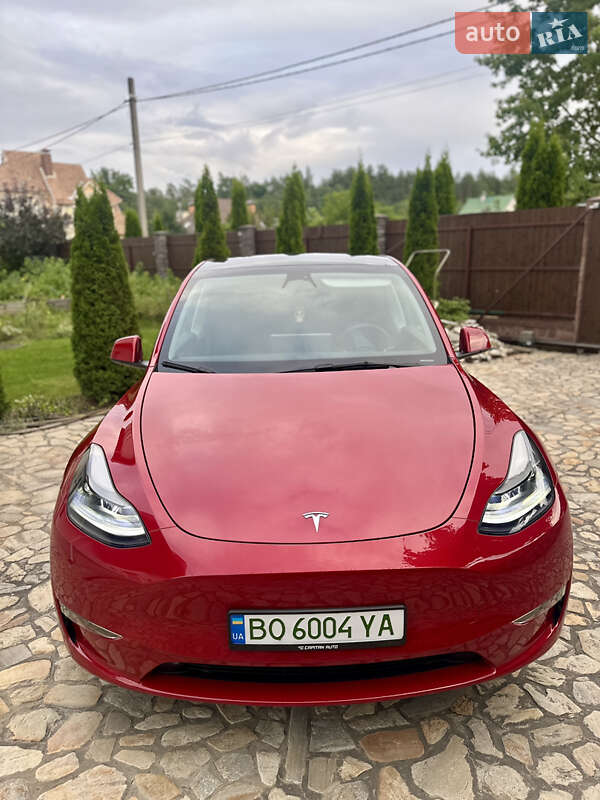 Внедорожник / Кроссовер Tesla Model Y 2023 в Киеве
