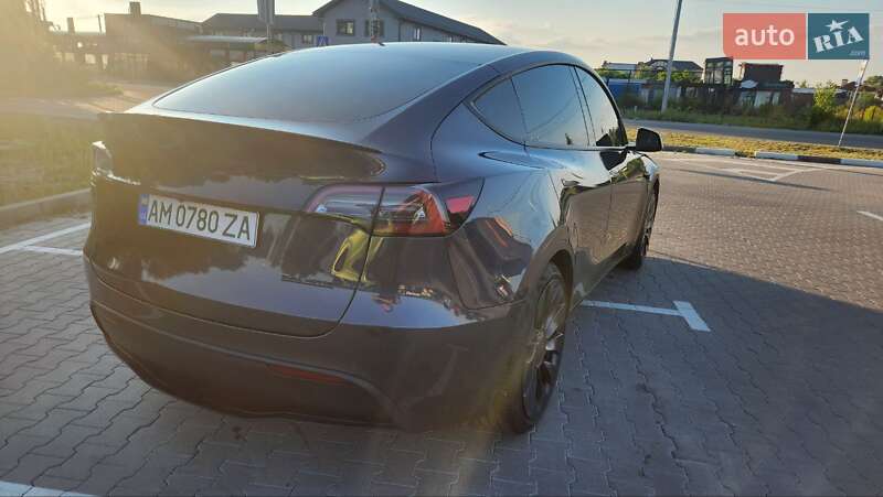 Внедорожник / Кроссовер Tesla Model Y 2021 в Погребах