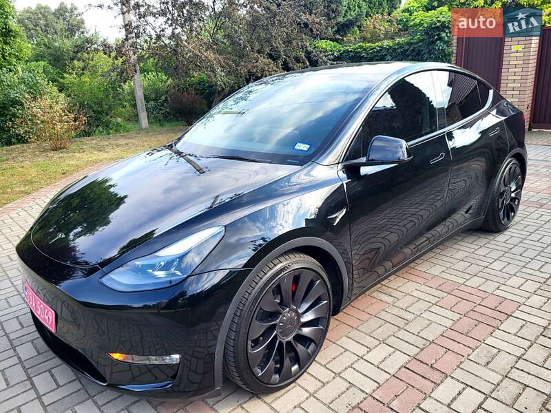 Внедорожник / Кроссовер Tesla Model Y 2023 в Запорожье