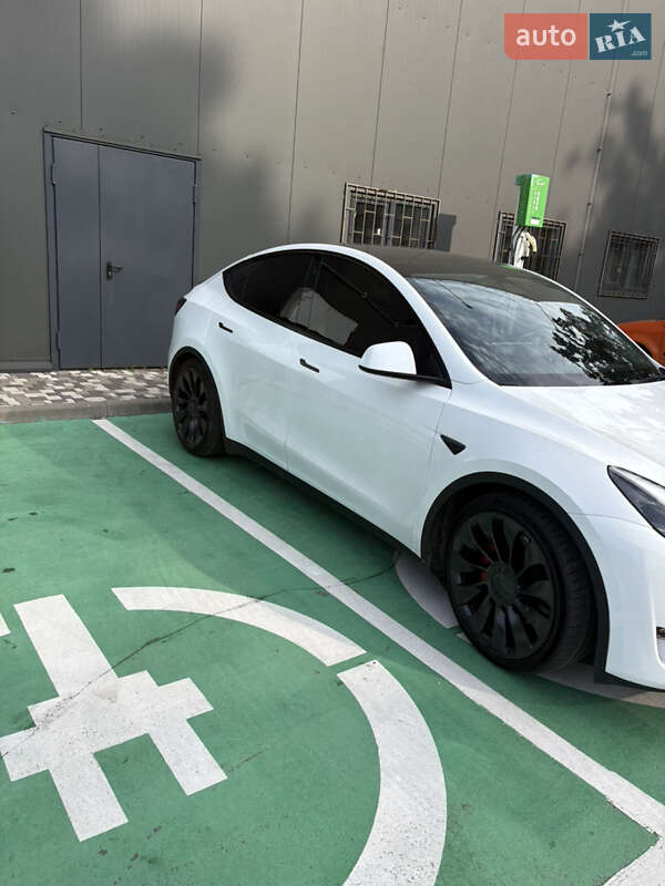 Внедорожник / Кроссовер Tesla Model Y 2023 в Борисполе