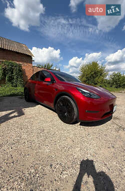 Внедорожник / Кроссовер Tesla Model Y 2024 в 