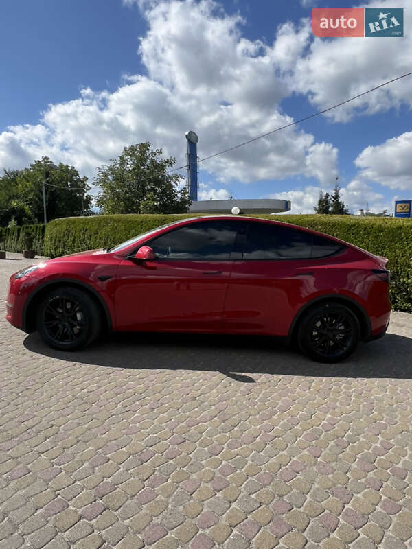 Внедорожник / Кроссовер Tesla Model Y 2021 в Львове
