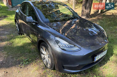 Внедорожник / Кроссовер Tesla Model Y 2020 в 