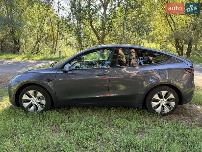 Внедорожник / Кроссовер Tesla Model Y 2020 в Василькове