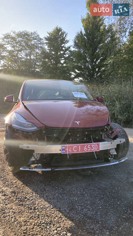 Внедорожник / Кроссовер Tesla Model Y 2021 в Львове