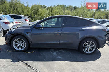 Внедорожник / Кроссовер Tesla Model Y 2023 в 