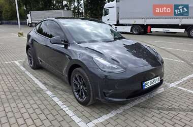 Внедорожник / Кроссовер Tesla Model Y 2024 в 