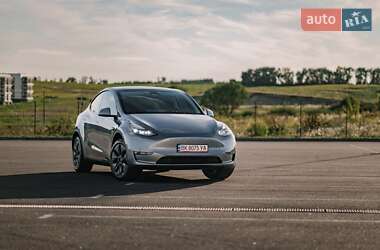 Внедорожник / Кроссовер Tesla Model Y 2024 в 