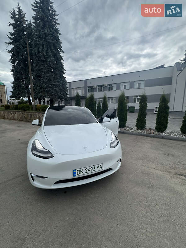 Позашляховик / Кросовер Tesla Model Y 2021 в Рівному