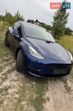Позашляховик / Кросовер Tesla Model Y 2023 в Києві