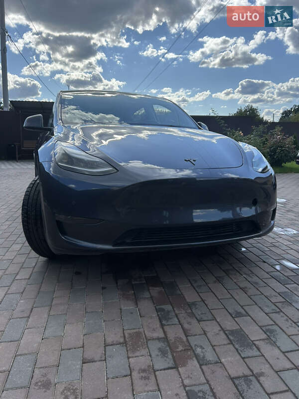 Позашляховик / Кросовер Tesla Model Y 2022 в Києві