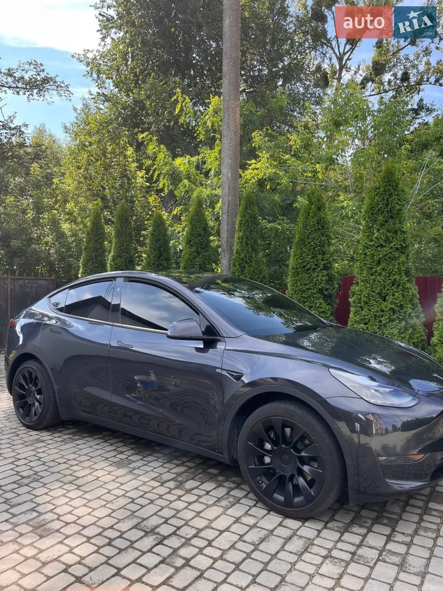 2024 Tesla Model Y - фото 1
