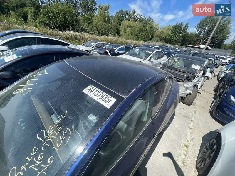 Позашляховик / Кросовер Tesla Model Y 2023 в Львові