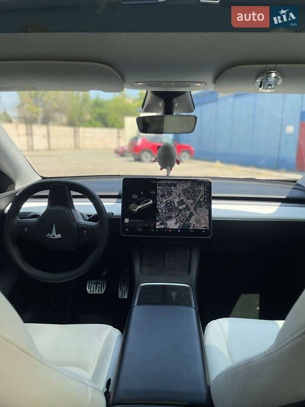 Внедорожник / Кроссовер Tesla Model Y 2021 в Запорожье фото 6 Внедорожник / Кроссовер Tesla Model Y 2021 в Запорожье