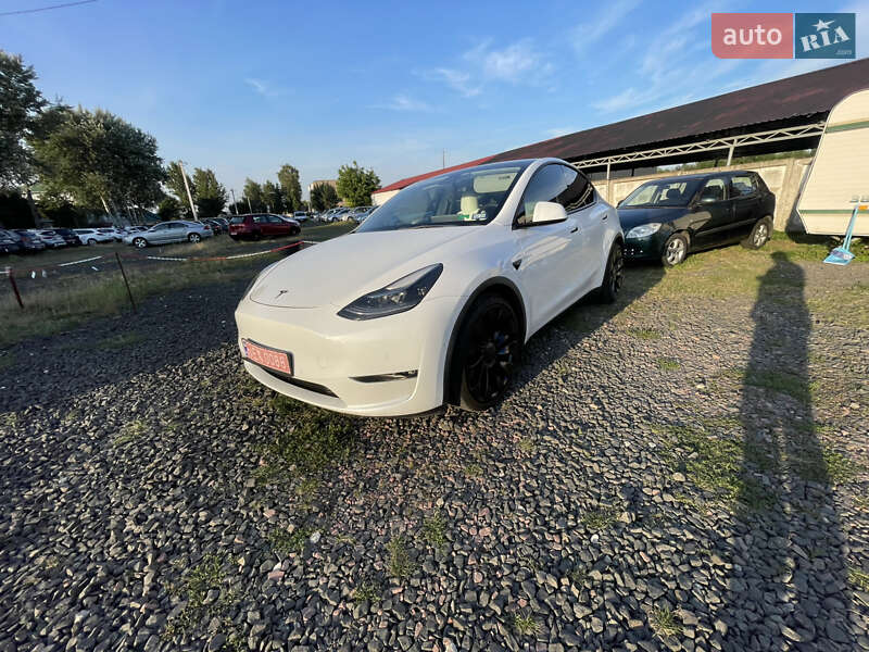 Позашляховик / Кросовер Tesla Model Y 2021 в Луцьку