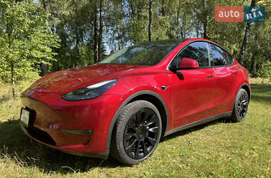 Позашляховик / Кросовер Tesla Model Y 2024 в Радивиліві