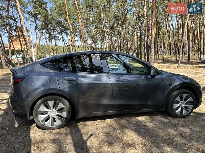 Позашляховик / Кросовер Tesla Model Y 2021 в Дніпрі