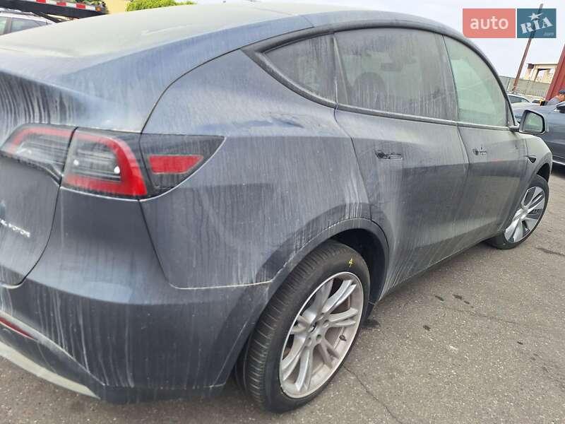 Позашляховик / Кросовер Tesla Model Y 2023 в Києві