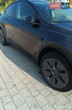 Позашляховик / Кросовер Tesla Model Y 2024 в 