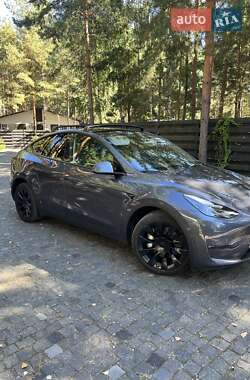 Внедорожник / Кроссовер Tesla Model Y 2023 в Киеве