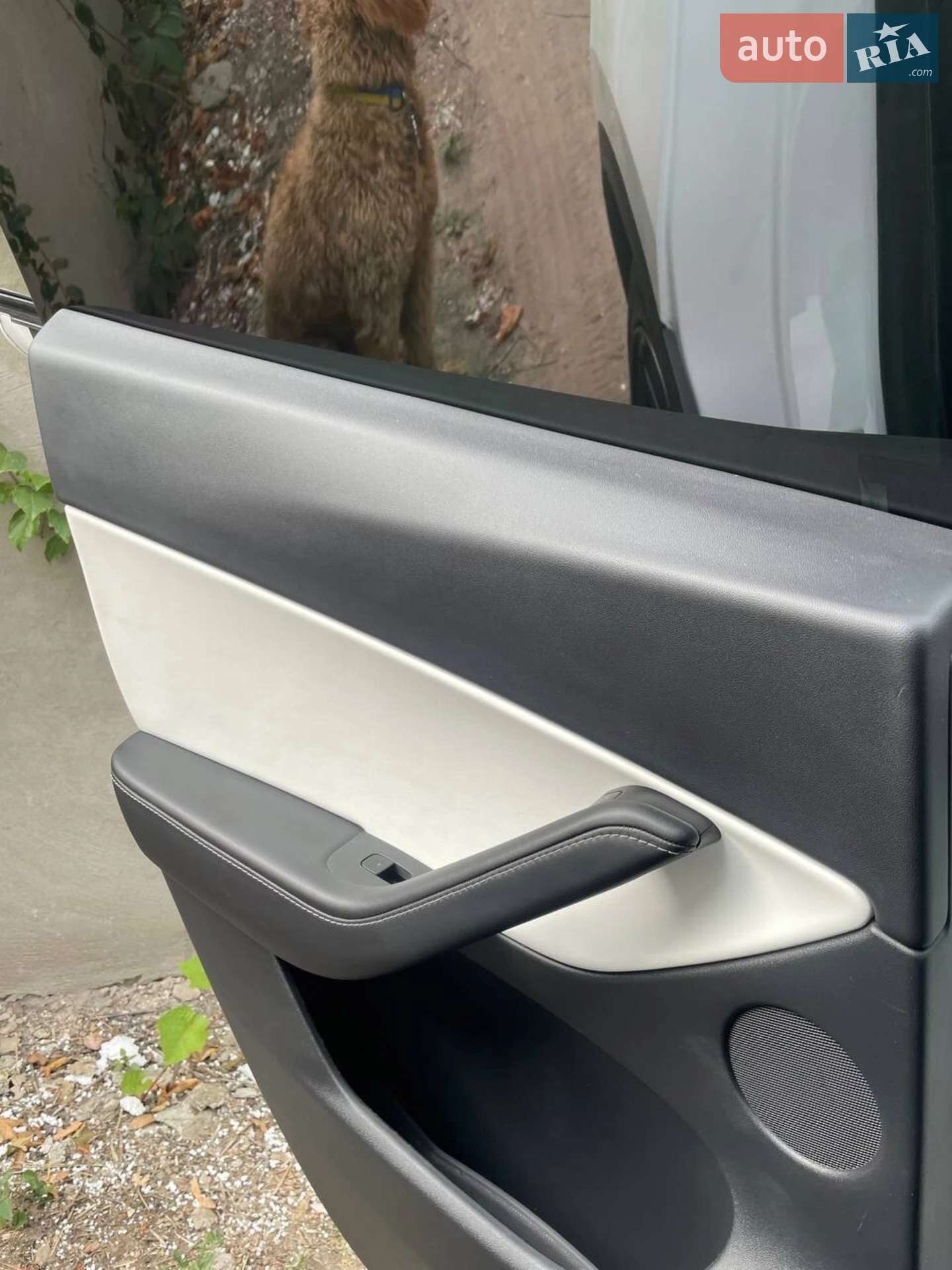 2021 Tesla Model Y - мініатюра 10