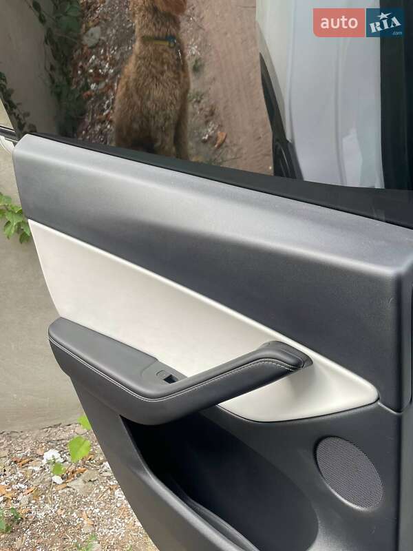 Внедорожник / Кроссовер Tesla Model Y 2021 в Днепре фото 10 Внедорожник / Кроссовер Tesla Model Y 2021 в Днепре