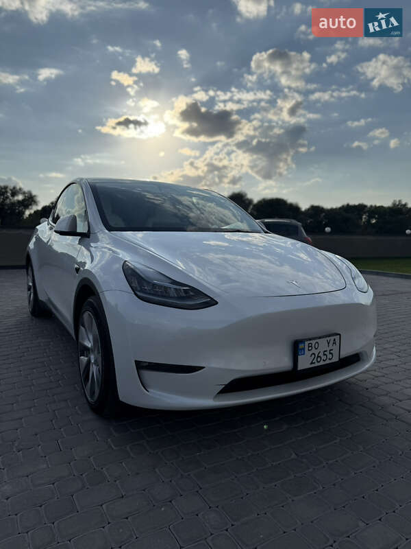 Позашляховик / Кросовер Tesla Model Y 2021 в Тернополі