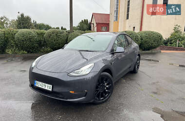 Внедорожник / Кроссовер Tesla Model Y 2021 в Тернополе