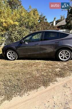 Внедорожник / Кроссовер Tesla Model Y 2023 в Харькове